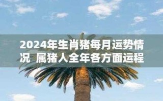 2024年2月属猪人订婚吉日怎么选择 2024年属猪的财运和运气如何