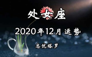 2020年12月13日处女座运势