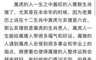 属虎人一生最旺3个人：解析幸运伙伴的特征