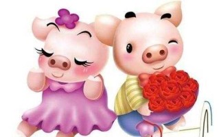 属猪的最佳配偶：共筑幸福美满的爱情长廊