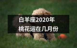 白羊座2020年桃花运爱情运势