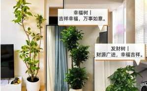 室内绿植摆放位置风水 室内绿植摆放位置风水讲究