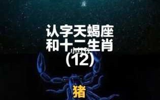 属猪的天蝎座2020年运势怎么样 属猪的天蝎座2020年运势怎么样呀