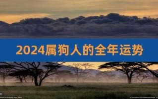 属狗2024年的运势及运程 属狗2024年的运势及运程每月运气