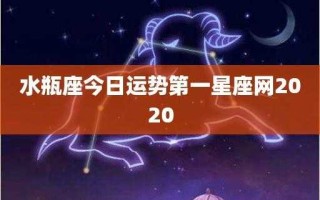 属猴水瓶座2020年运势及运程 生肖猴水瓶座2020年运势大全