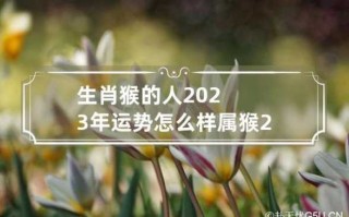 属猴2023年整体运势 属猴2023年整体运势如何