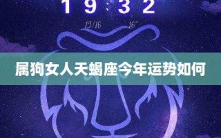 属狗天蝎座女生2020年运势如何 属狗天蝎座女生2020年运势如何看