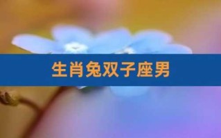 属兔双子座男人的性格 属兔双子座男人的性格和脾气