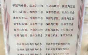 三合贵人什么意思兔 三合贵人命