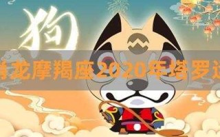 属龙摩羯座2020年运势及运程 属龙摩羯座2020年每月运势