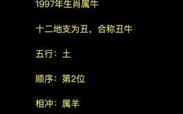 1997属于什么生肖年，揭秘中国农历1997年的属相