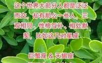 金牛座双子座的性格 金牛双子座性格特征