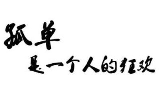 孤单是一个人的狂欢，孤独年夜饭图片 孤单是一个人的狂欢吗