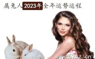 2023年属兔人的全年运势如何 2023年属兔人的全年运势如何麦玲玲