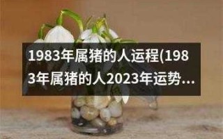 属猪巨蟹2021年运势 属猪巨蟹2021年运势及运程