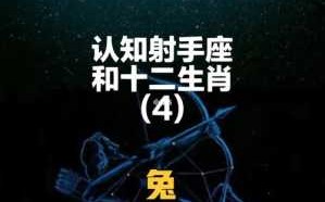 属兔射手座男性格特点 属兔的射手座男生性格