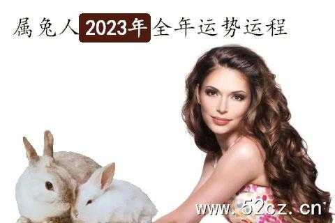 2023年属兔人的全年运势如何 2023年属兔人的全年运势如何麦玲玲
