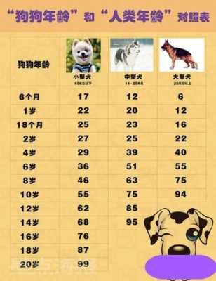 属狗的出生年份表 属鸡的出生年份表