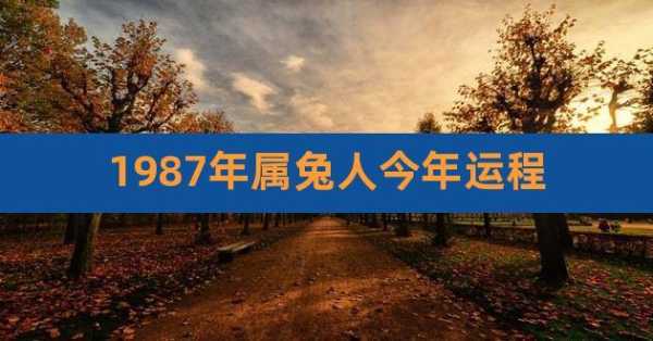 1987年出生属什么 1987年出生的2024年运势