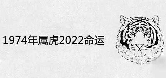 74年属虎48岁2022劫难 74年属虎47岁2019劫难