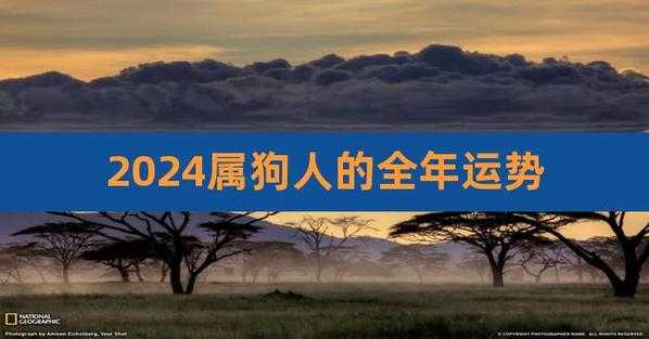 属狗2024年的运势及运程 属狗2024年的运势及运程每月运气