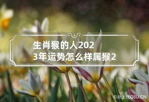 属猴2023年整体运势 属猴2023年整体运势如何