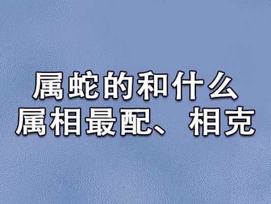 蛇与何种属相最配？解析完美的生肖搭配组合