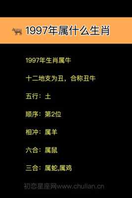 1997属于什么生肖年，揭秘中国农历1997年的属相