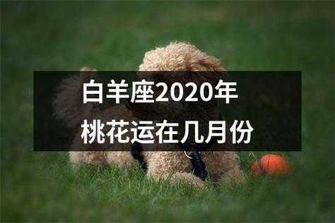 白羊座2020年桃花运爱情运势