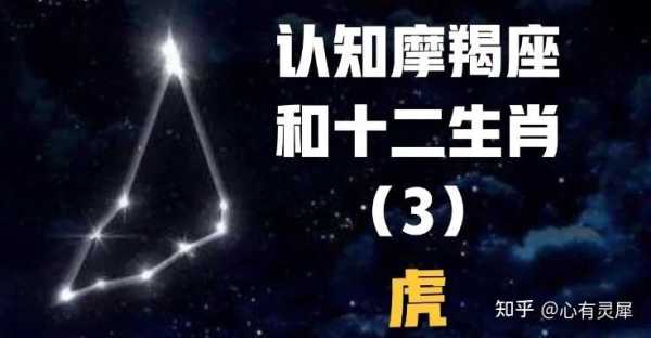 属虎摩羯座男生性格特点和缺点 属虎的摩羯座男生爱上一个人的表现