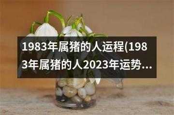 属猪巨蟹2021年运势 属猪巨蟹2021年运势及运程