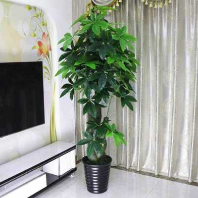 客厅植物摆放风水方位图 客厅植物放哪个位置好