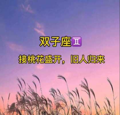 双子座2020年桃花运势 双子座2020年桃花运势及运程