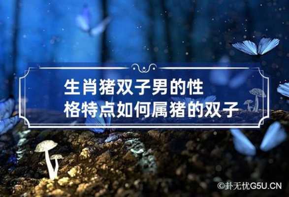 属猪双子座男性格特点 属猪双子座男命运