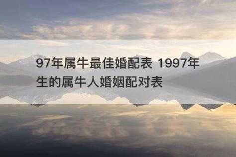 97属牛男人最佳妻子 97属牛男正缘在哪一年