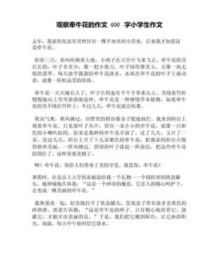 牵牛花的象征意义是什么作文 牵牛花的象征意义是什么作文400字