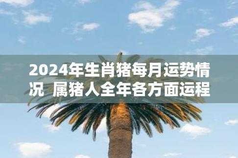 2024年2月属猪人订婚吉日怎么选择 2024年属猪的财运和运气如何